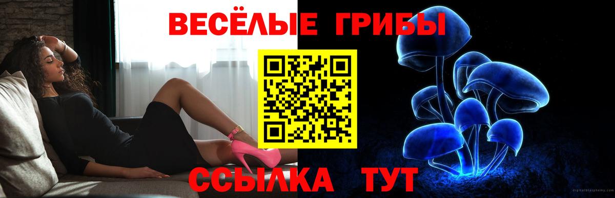 Псилоцибиновые грибы GOLDEN TEACHER Городец